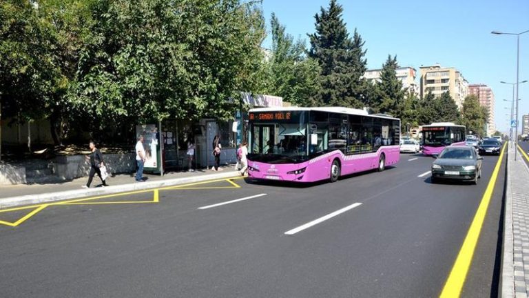avtobus12