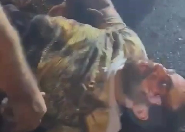 1692055964.VideoCapture_20230815-033116
