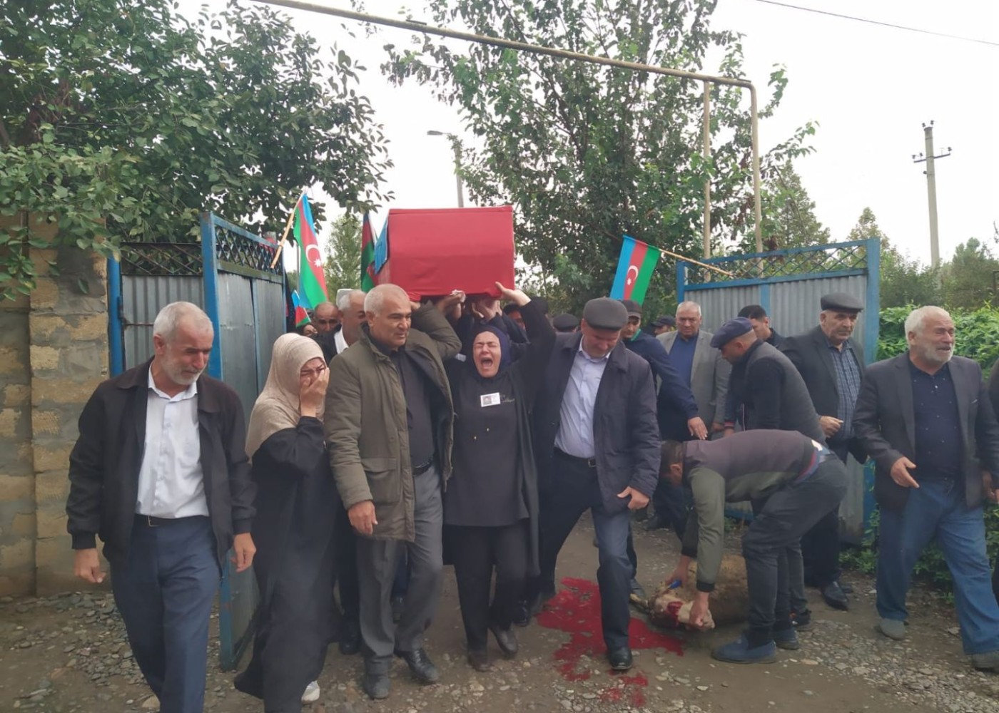 1694600504.trend_shehid_allahverdiyev_shemseddin_130923_7 (1)