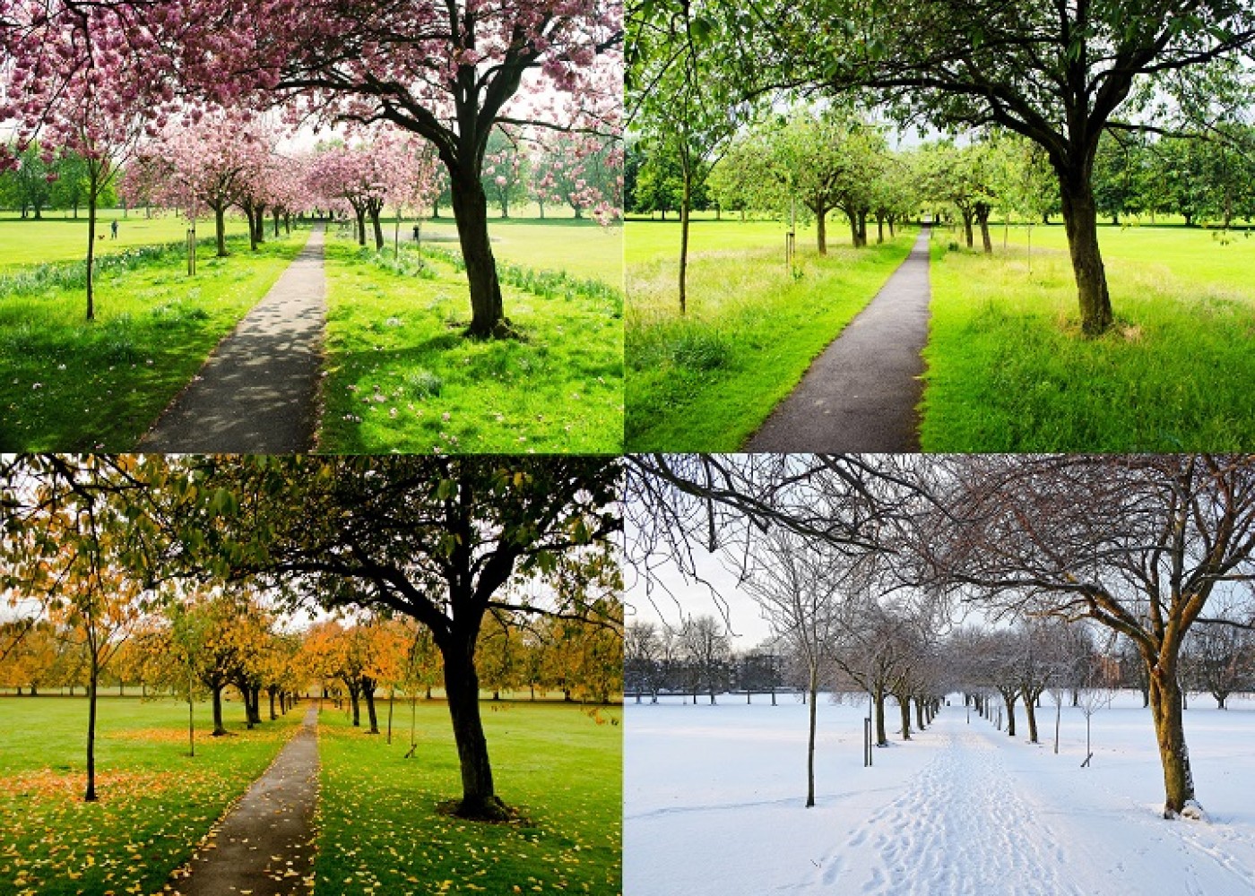 1698738242.the-four-seasons (1)