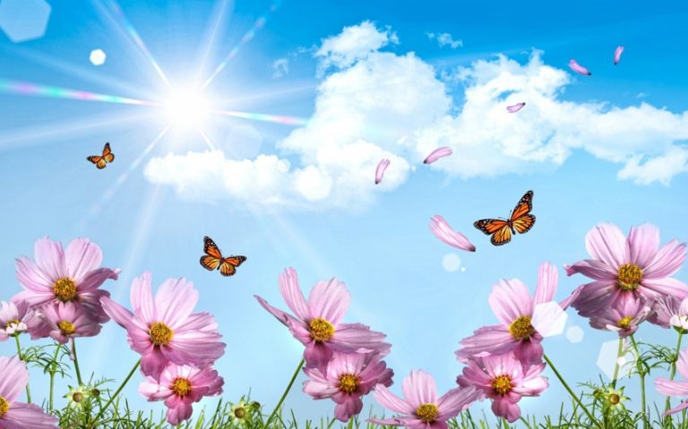 331fb7bf-5229-3a0b-ae4f-aa66ae3f0e92_850