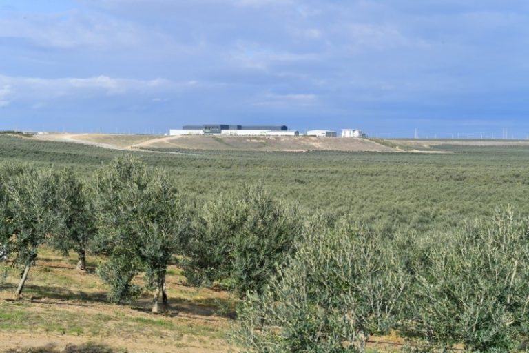 zeytun-zavodu-18