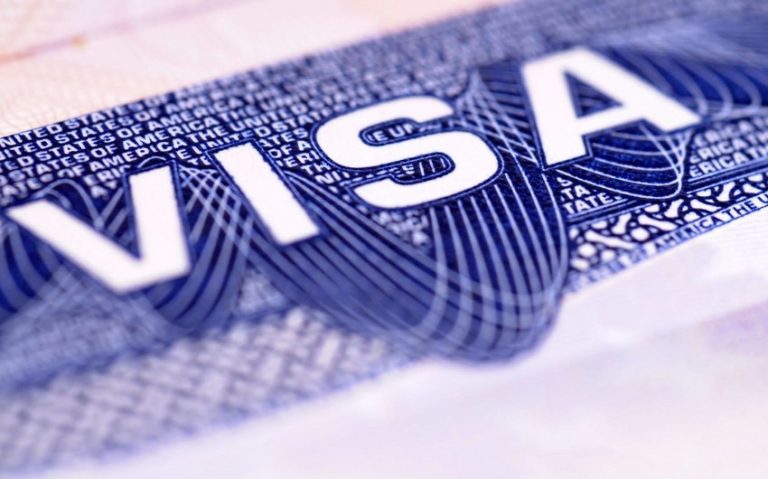 1723194993_b0414929-f9dd-361d-a028-702ea55fb0f2_850