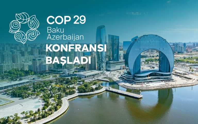 7f0c6cdc-0fd7-3ebc-8d35-e93366f890e2_850 (1)