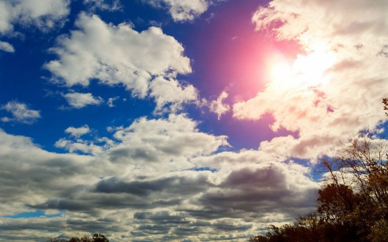 c7f0e3f3-a5ec-362c-9c97-9ef9bd5d1857_850