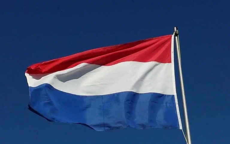 55d32798-6f5c-3645-b52d-d07687bf6f3d_850