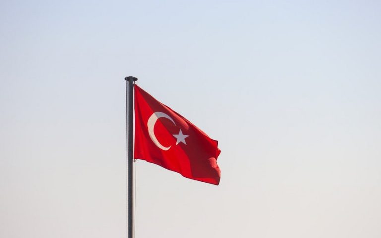 67af7019-cbd7-3e71-9e4f-9681da175b45_850 (1)