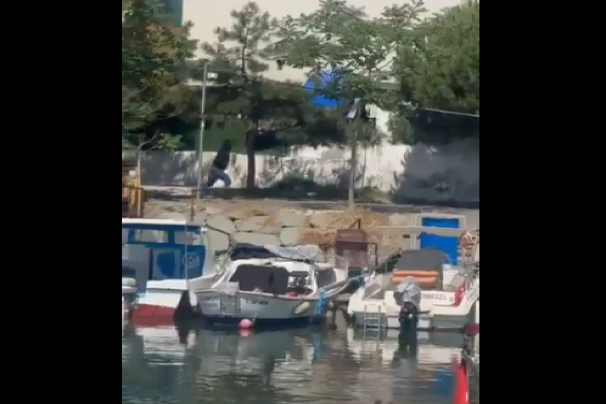 68765ba5e50df68765ba5e50e0175258717368765ba5e50dd68765ba5e50de 5