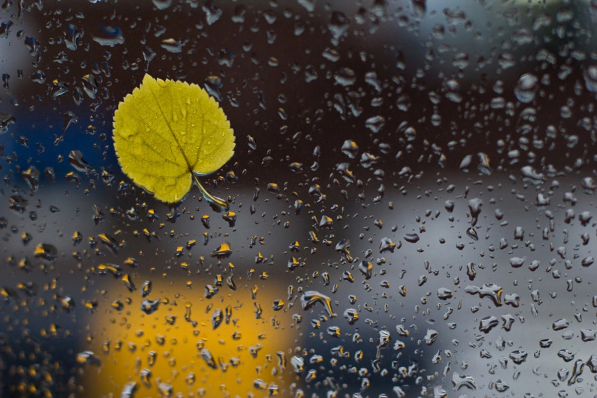260f4379-7467-311e- B