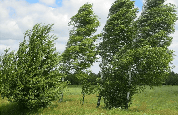 Screenshot 2026-08-25 171633