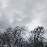 7ef44aa8-dda v