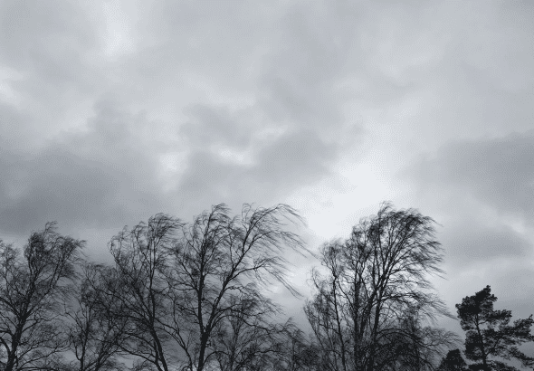 7ef44aa8-dda v