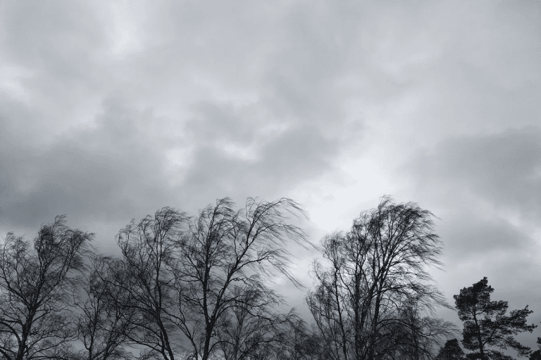 7ef44aa8-dda v