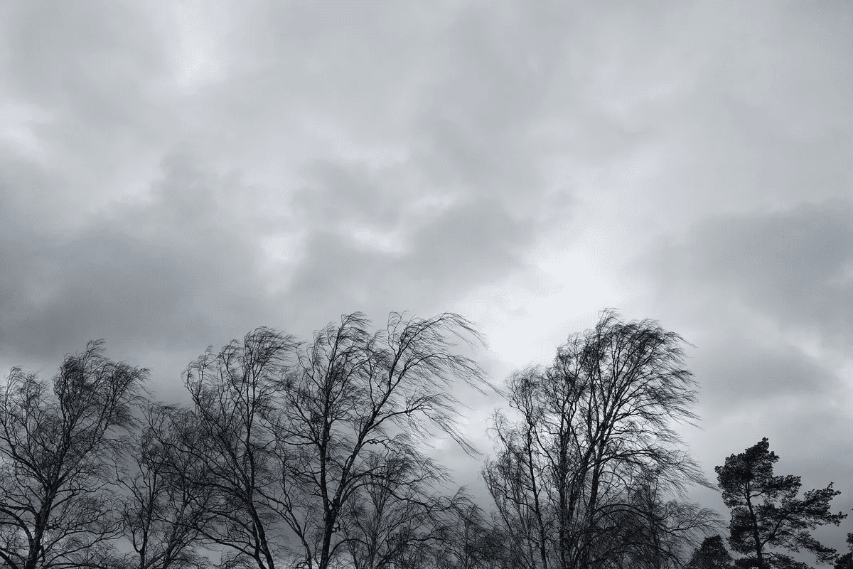 7ef44aa8-dda v